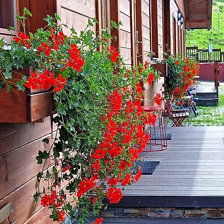 Hotel Sport-hotel šibeniční Vrch 3*